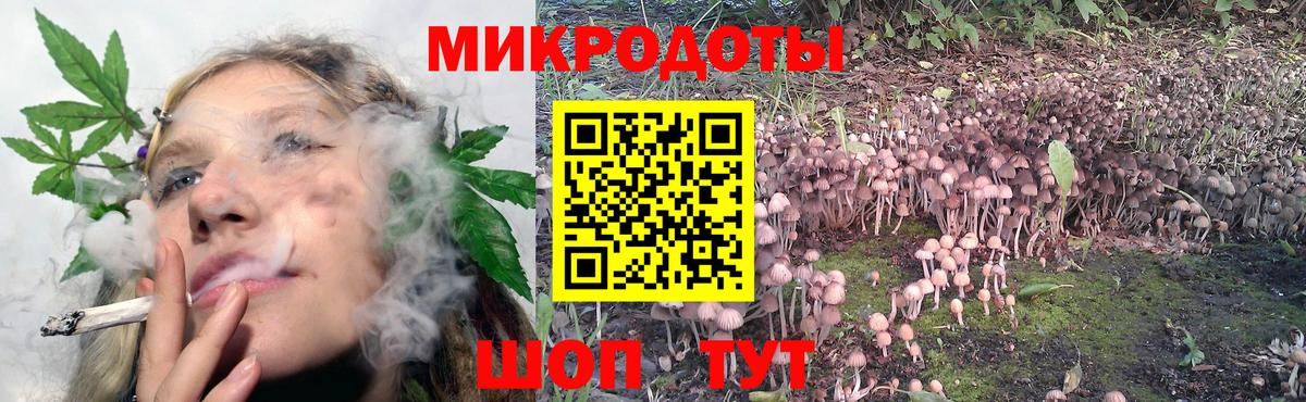 LSD-25  А ПВП СОЛЬ кристаллы  Мефедрон   Конопля  Cocaine  ГАШИШ  Зеленогорск  ГАШ  Вход с VPN 