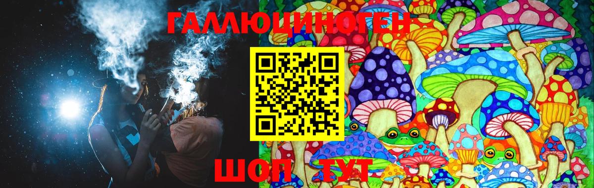 Галлюциногенные грибы Psilocybine cubensis Зеленогорск