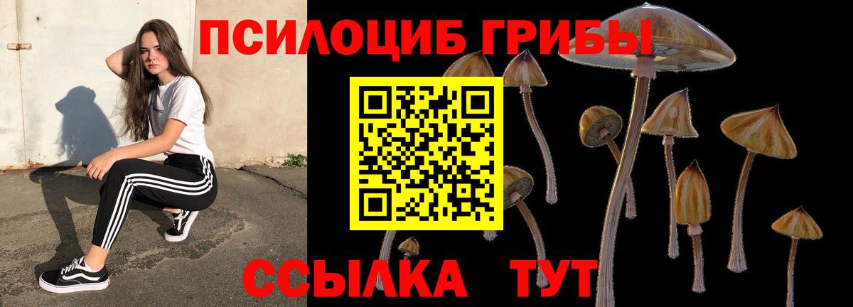 Псилоцибиновые грибы мухоморы  Вход с VPN  Зеленогорск  Галлюциногенные грибы мухоморы 